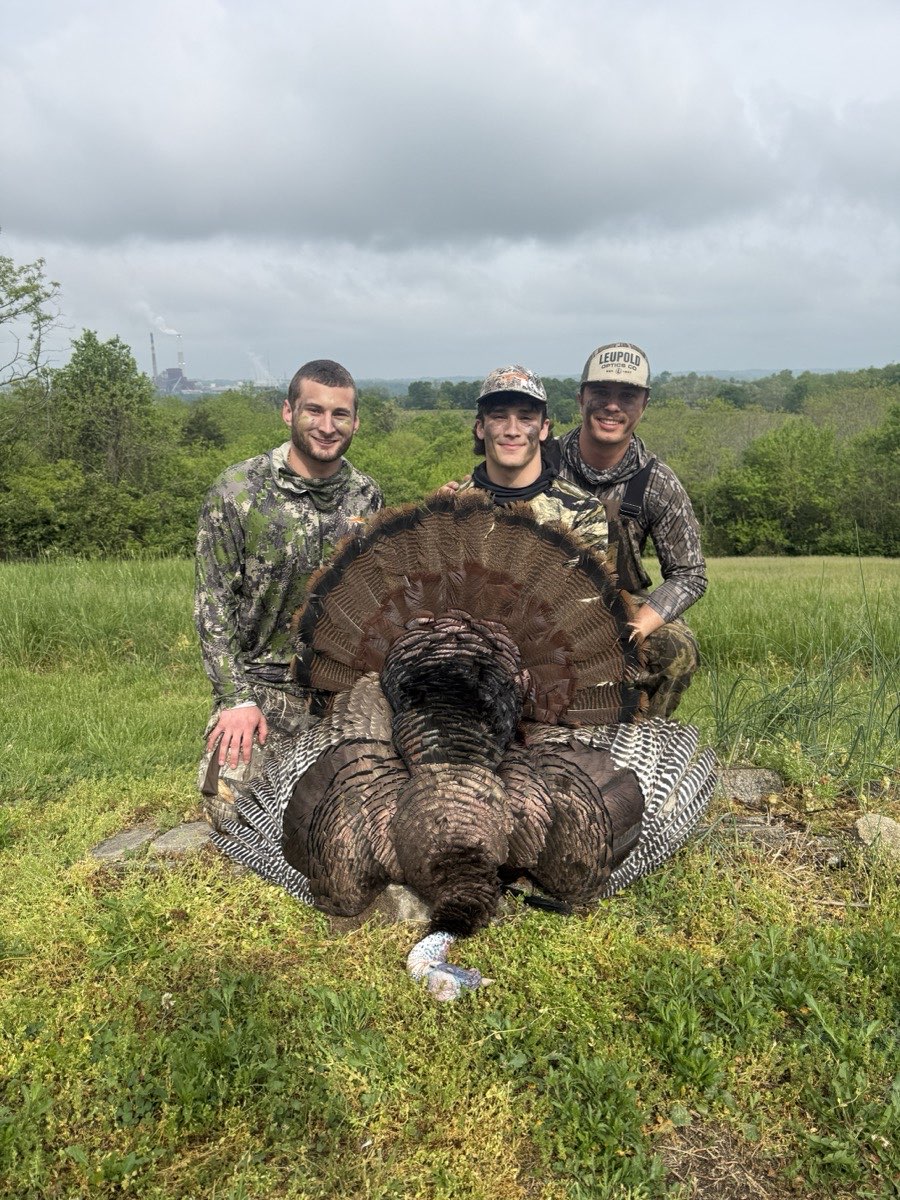 Palisades hunt photo 1